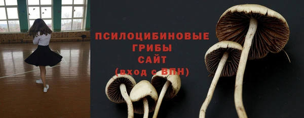 не бодяженный Алексин