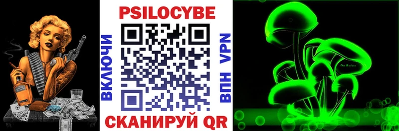 Псилоцибиновые грибы прущие грибы Махачкала